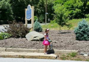 Ollis loves to plant flowers and spray the weeds in the gardens throughout the city.