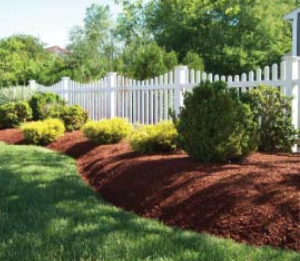 The Chester County Health Department recommends creating a barrier of mulch or wood chips between woods and yards to reduce the risk of ticks.