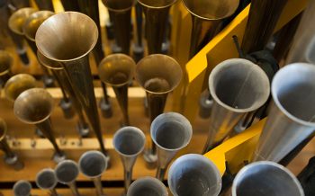 Applications now available for the Longwood Organ Academy. Photo by Daniel Traub.